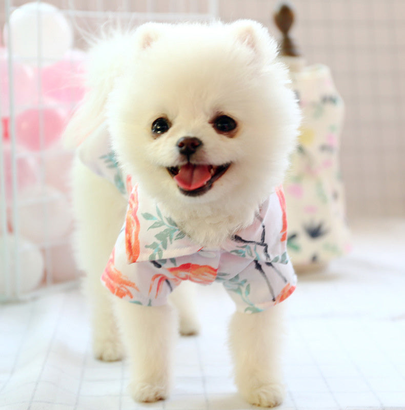 Small dog than the bear pomei thin summer cute shirt